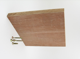 津濱華星是我們信賴(lài)的合作 津濱華星是我們信賴(lài)的合作